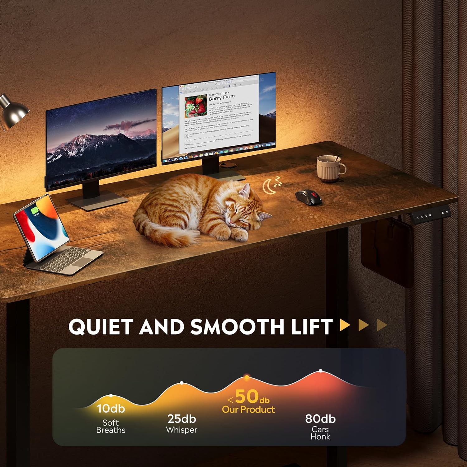 63 X 28 Inches Electric Standing Desk, 3 Adjustable Height Stand up Desk for Home Office, Ergonomic Sit to Stand Desk with LED Touchscreen, Hook, 3 Memory Preset Computer Desk (Rustic Brown)